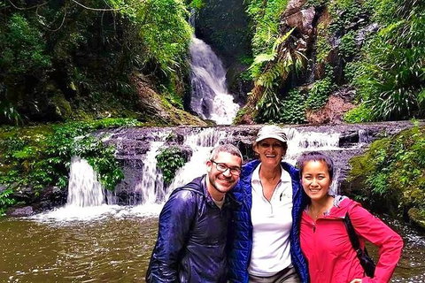 Private Tour - C Tourism 0