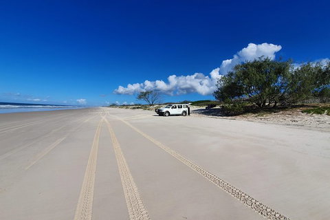 Bribie Island Beach & Bunker Tour - C Tourism 2