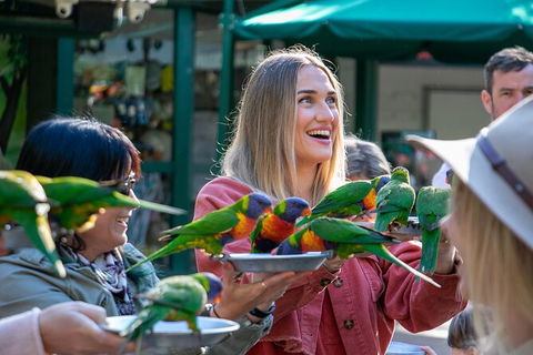 Currumbin Wildlife Sanctuary General Entry Ticket - C Tourism 15