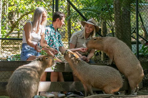 Currumbin Wildlife Sanctuary General Entry Ticket - C Tourism 16