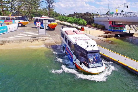 Aquaduck Gold Coast 1 Hour City And River Tour - C Tourism 4