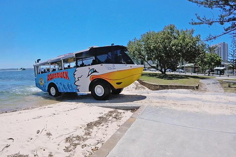 Aquaduck Gold Coast 1 Hour City And River Tour - C Tourism 1