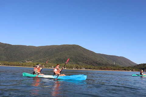 Kayak Turtle Tour From Palm Cove - C Tourism 24