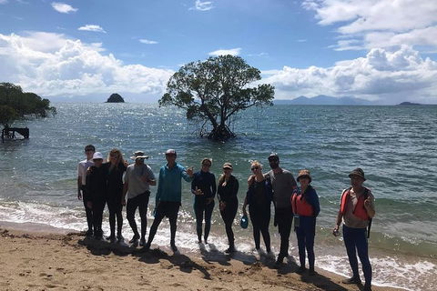 Kayak Turtle Tour From Palm Cove - C Tourism 17