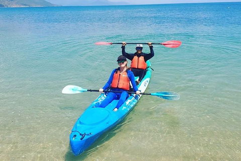 Kayak Turtle Tour From Palm Cove - C Tourism 23