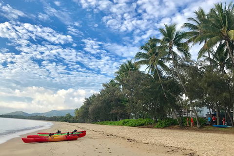 Kayak Turtle Tour From Palm Cove - C Tourism 2