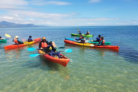 Kayak Turtle Tour From Palm Cove - C Tourism 25