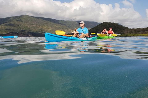 Kayak Turtle Tour From Palm Cove - C Tourism 0