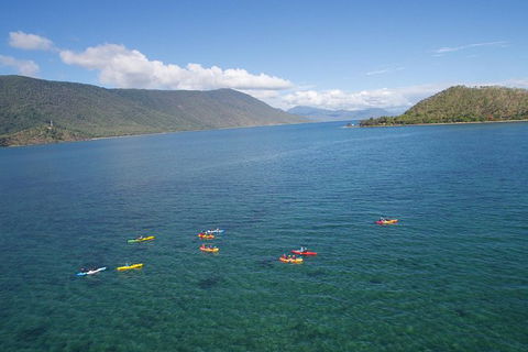Kayak Turtle Tour From Palm Cove - C Tourism 44