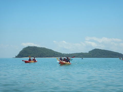 Kayak Turtle Tour From Palm Cove - C Tourism 33