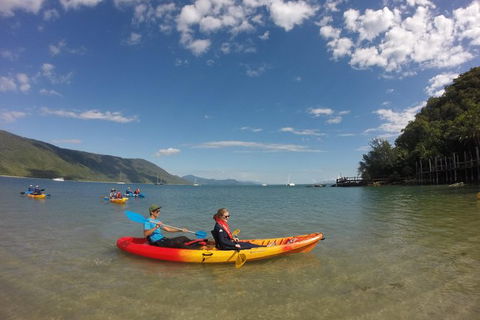 Kayak Turtle Tour From Palm Cove - C Tourism 21