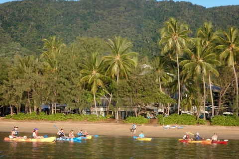 Kayak Turtle Tour From Palm Cove - C Tourism 16