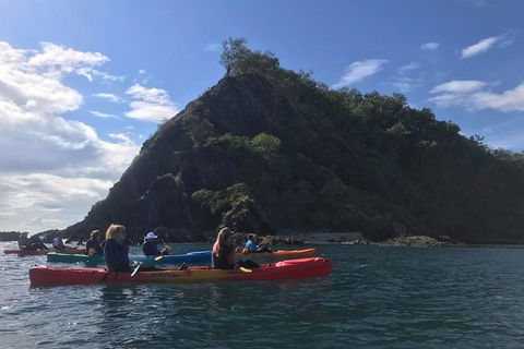 Kayak Turtle Tour From Palm Cove - C Tourism 3
