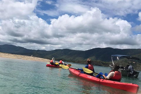 Kayak Turtle Tour From Palm Cove - C Tourism 29