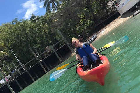 Kayak Turtle Tour From Palm Cove - C Tourism 31