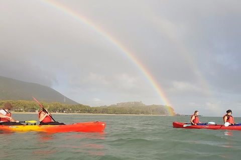 Kayak Turtle Tour From Palm Cove - C Tourism 26
