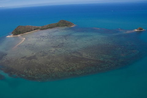 Kayak Turtle Tour From Palm Cove - C Tourism 20