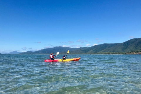 Kayak Turtle Tour From Palm Cove - C Tourism 48