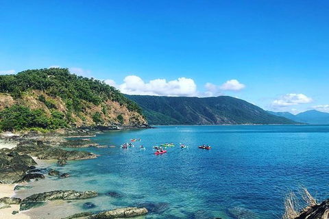 Kayak Turtle Tour From Palm Cove - C Tourism 39