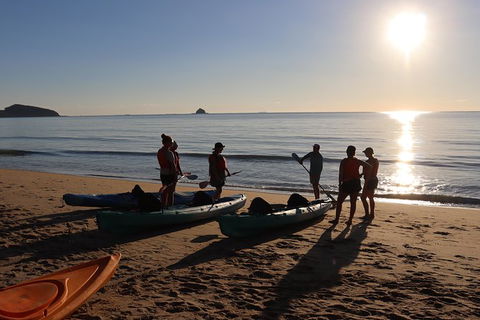Kayak Turtle Tour From Palm Cove - C Tourism 5