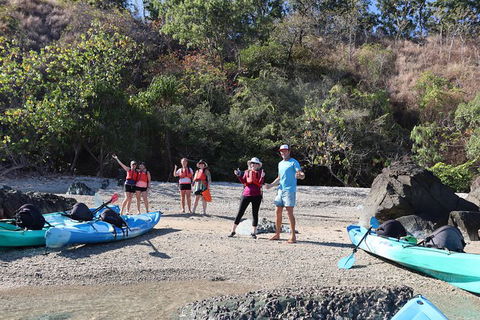 Kayak Turtle Tour From Palm Cove - C Tourism 46