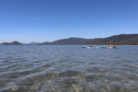Kayak Turtle Tour From Palm Cove - C Tourism 43