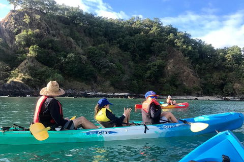 Kayak Turtle Tour From Palm Cove - C Tourism 13