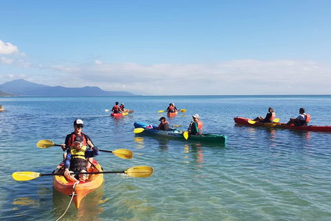 Kayak Turtle Tour From Palm Cove - C Tourism 37