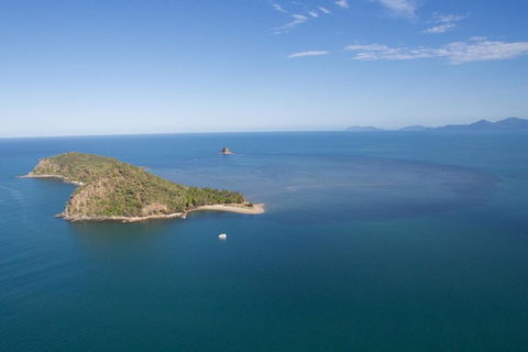 Kayak Turtle Tour From Palm Cove - C Tourism 47