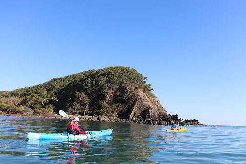 Kayak Turtle Tour From Palm Cove - C Tourism 30
