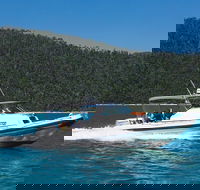 Private Standard Charter Experience in Whitsundays - C Tourism