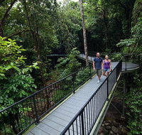 4-Day Cairns with Great Barrier Reef and Daintree Rainforest - C Tourism