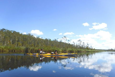 Full-Day Guided Noosa Everglades Kayak Tour - C Tourism 1