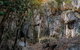 Capricorn Caves Cathedral Cave Tour - thumb 8