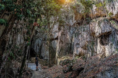 Capricorn Caves Cathedral Cave Tour - C Tourism 8