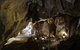 Capricorn Caves Cathedral Cave Tour - thumb 7