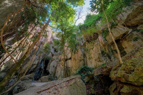 Capricorn Caves Cathedral Cave Tour - C Tourism 9
