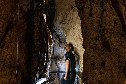 Capricorn Caves Cathedral Cave Tour - C Tourism 5