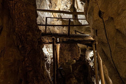 Capricorn Caves Cathedral Cave Tour - C Tourism 2