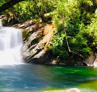Wooroonooran National Park Rainforest and Wildlife Day Trip from Cairns - C Tourism