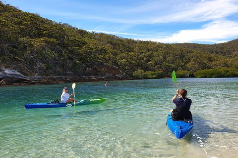 Great Keppel Island Leekes Creek Guided Kayak Tour - C Tourism 3