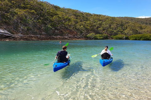 Great Keppel Island Leekes Creek Guided Kayak Tour - C Tourism 2