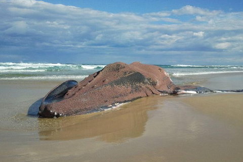 Stradbroke Island Adventure - C Tourism 7