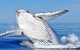Stradbroke Island Adventure - thumb 8
