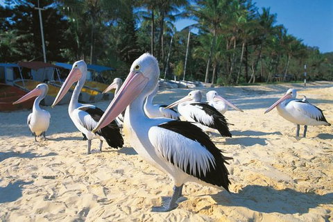 Stradbroke Island Adventure - C Tourism 5