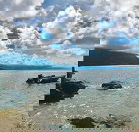 Exclusive Double Island Boat Tours from Palm Cove - C Tourism