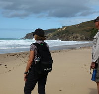 Tropical Beach Adventure - Private 4X4 Day Tour with Pickup - C Tourism
