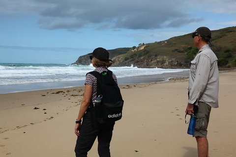 Tropical Beach Adventure - Private 4X4 Day Tour With Pickup - C Tourism 0