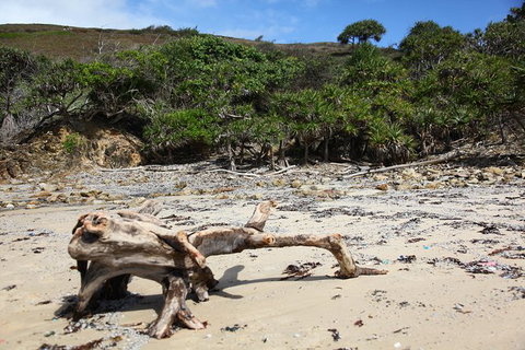 Tropical Beach Adventure - Private 4X4 Day Tour With Pickup - C Tourism 5