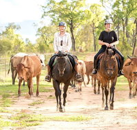 Ride the Outback at Ironbark House Dimbulah Horse Riding - C Tourism